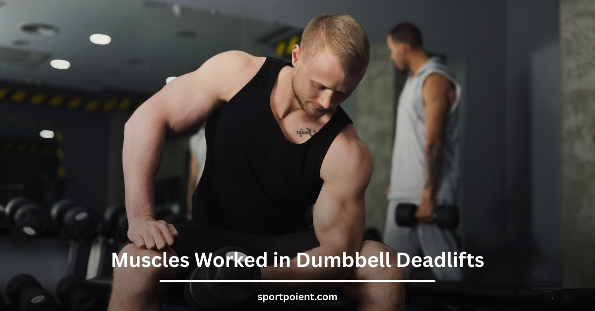 Muscles Worked in Dumbbell Deadlifts