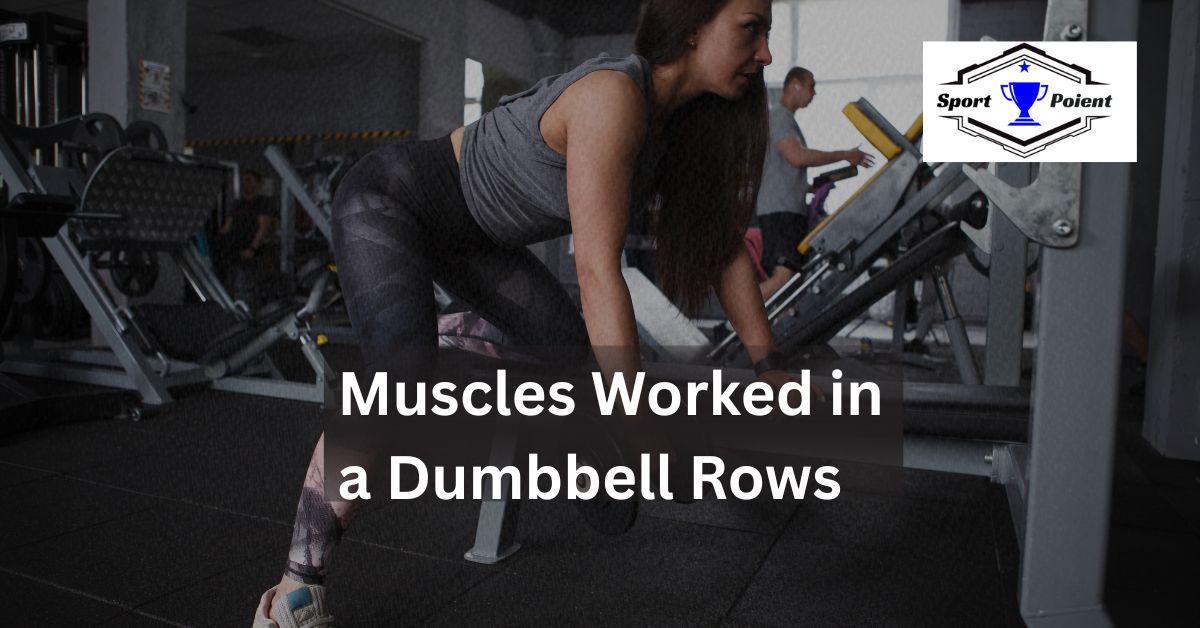 Muscles Worked in a Dumbbell Rows by sportpoient.com