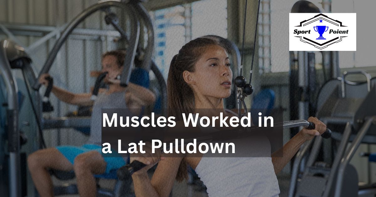 Muscles Worked in a Lat Pulldown by sportpoient.com
