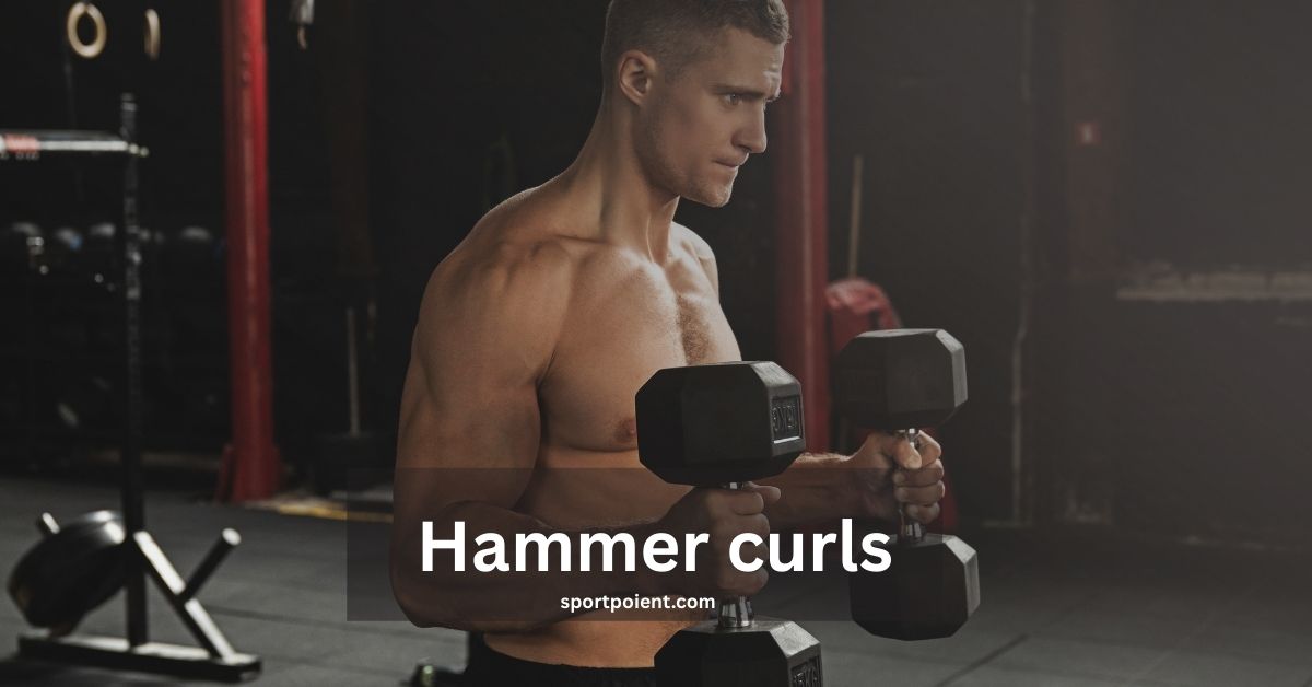 Hammer curls by sportpoient.com
